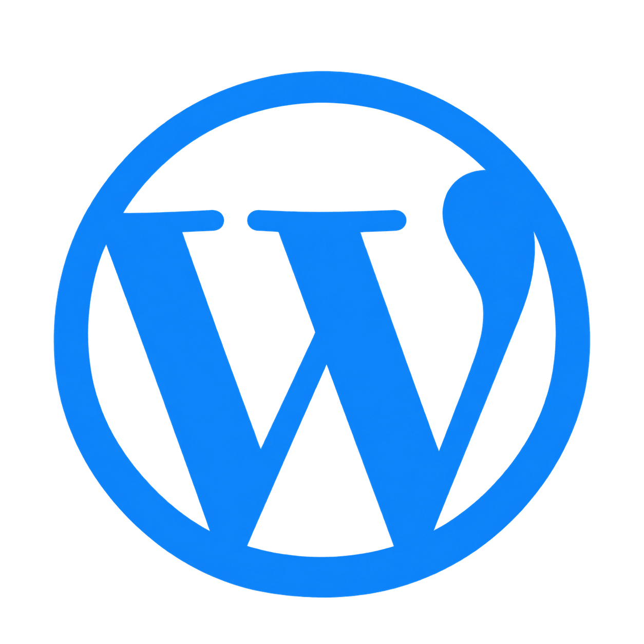 WordPress beveiliging voor een veilige en beschermde website
